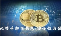 如何选择与使用比特币担