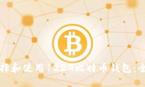 如何选择和使用122G比特币钱包:全面指南