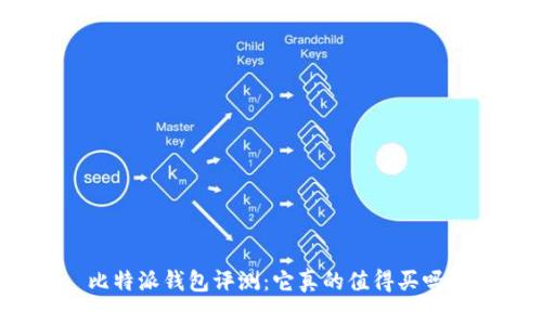 比特派钱包评测：它真的值得买吗？