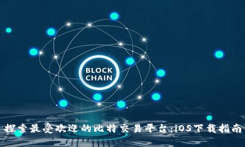 探索最受欢迎的比特交易平台:iOS下载指南