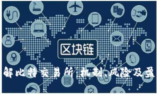 深入了解比特交易所：机制、风险及盈利策略