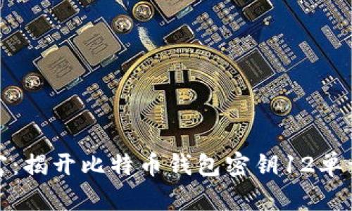 保护您的财富:揭开比特币钱包密钥12单词的神秘面纱
