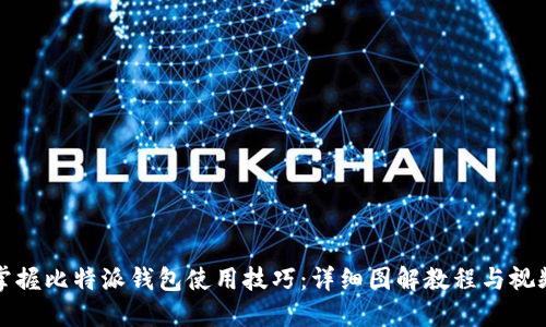 轻松掌握比特派钱包使用技巧:详细图解教程与视频指导