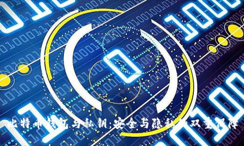 比特币钱包与私钥:安全与隐私的双重保障