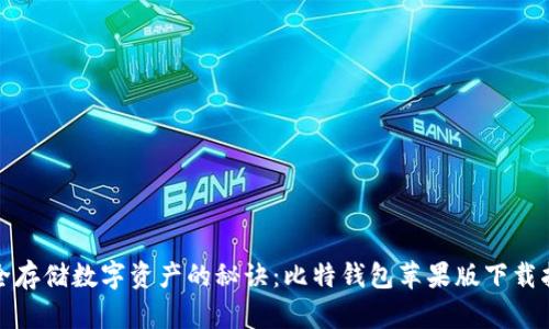 安全存储数字资产的秘诀:比特钱包苹果版下载指南