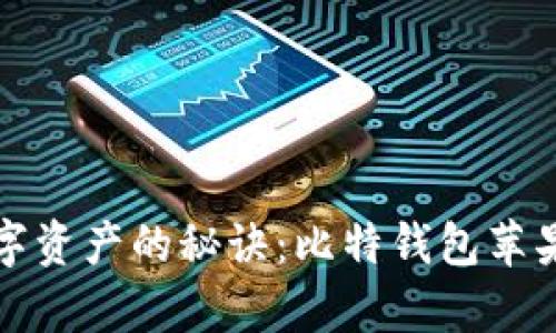 安全存储数字资产的秘诀:比特钱包苹果版下载指南