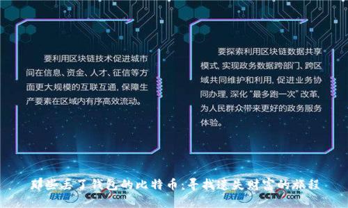 那些丢了钱包的比特币:寻找遗失财富的旅程