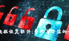 比特数据恢复软件：费用