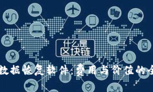 比特数据恢复软件:费用与价值的全解析