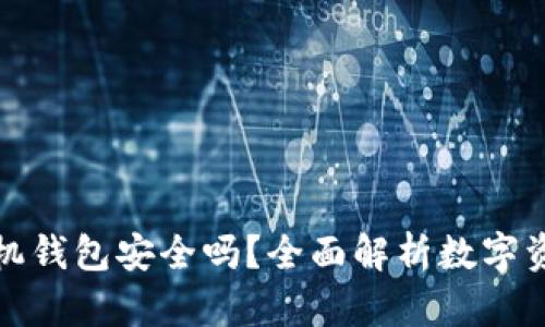 比特币手机钱包安全吗?全面解析数字资产安全性