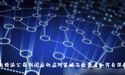 比特派公司倒闭后的应对策略及投资者如何自保护