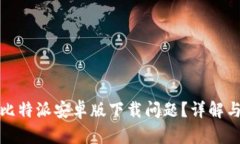 如何解决比特派安卓版下