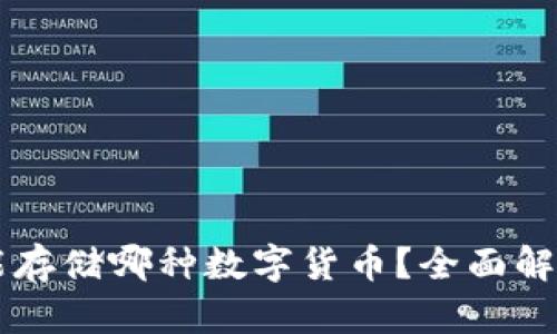 以太坊钱包能存储哪种数字货币？全面解析及使用指南