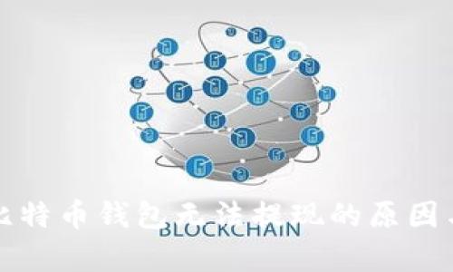 全面解析比特币钱包无法提现的原因与解决方案
