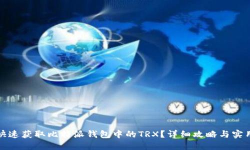 如何快速获取比特派钱包中的TRX?详细攻略与实用技巧