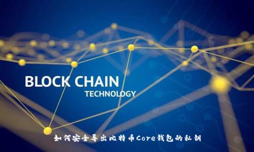 如何安全导出比特币Core钱包的私钥