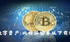 轻松掌握数字资产：比特