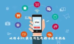 比特币SV：最佳钱包选择与