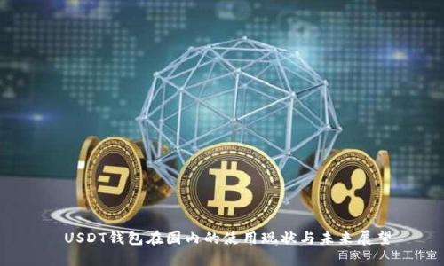 USDT钱包在国内的使用现状与未来展望