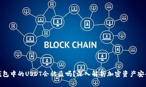 冷钱包中的USDT会被盗吗?深入解析加密资产安全性