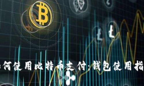 如何使用比特币支付:钱包使用指南