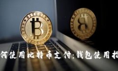 如何使用比特币支付：钱