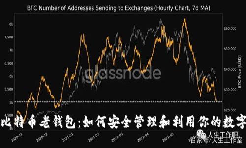 揭秘比特币老钱包:如何安全管理和利用你的数字资产