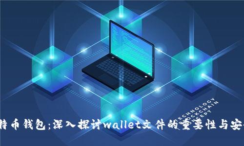 比特币钱包:深入探讨wallet文件的重要性与安全性