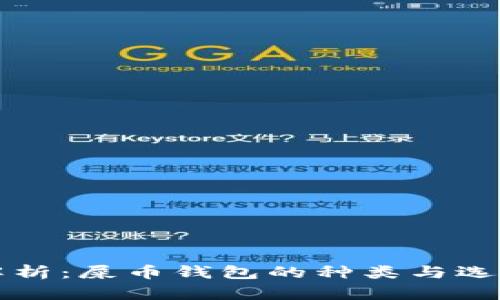 全面解析:屎币钱包的种类与选择指南