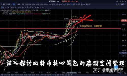 深入探讨比特币核心钱包的存储空间管理