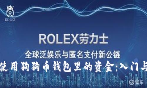 如何高效使用狗狗币钱包里的资金:入门与进阶指南