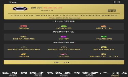 如何高效使用狗狗币钱包里的资金:入门与进阶指南