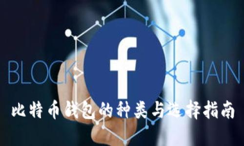 比特币钱包的种类与选择指南
