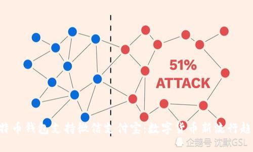 比特币钱包支持微信支付宝:数字货币新流行趋势!