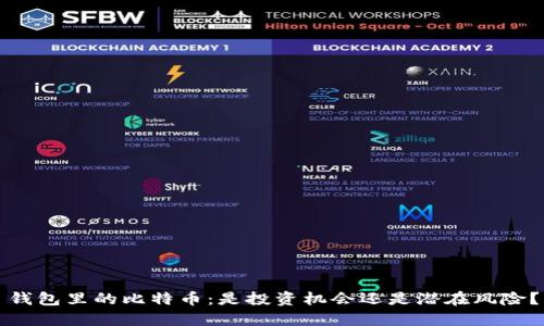 钱包里的比特币:是投资机会还是潜在风险?