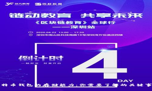 比特币钱包的存储能力:你需要了解的关键事项