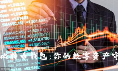 掌握比特币钱包:你的数字资产守护者