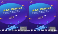 揭开比特币钱包数据出错