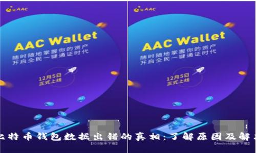 揭开比特币钱包数据出错的真相:了解原因及解决方案