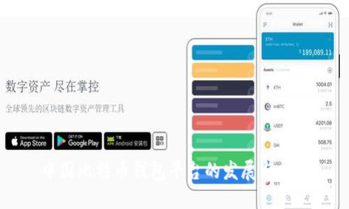 中国比特币钱包平台的发展与挑战
