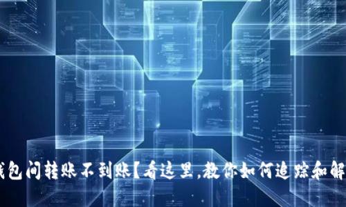 Token钱包间转账不到账?看这里,教你如何追踪和解决问题!