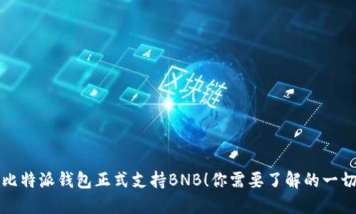 比特派钱包正式支持BNB！你需要了解的一切
