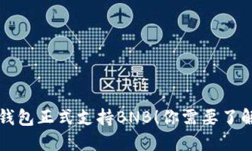 比特派钱包正式支持BNB！你需要了解的一切