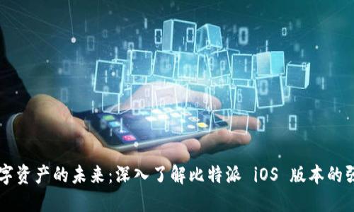 掌握数字资产的未来:深入了解比特派 iOS 版本的强大功能