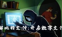 深入了解比特支付：开启