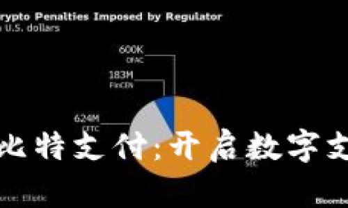 深入了解比特支付:开启数字支付新时代
