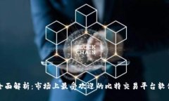 全面解析：市场上最受欢