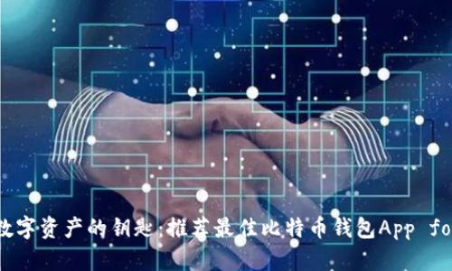 解锁数字资产的钥匙：推荐最佳比特币钱包App for iOS