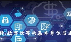 探索比特：数字世界的基