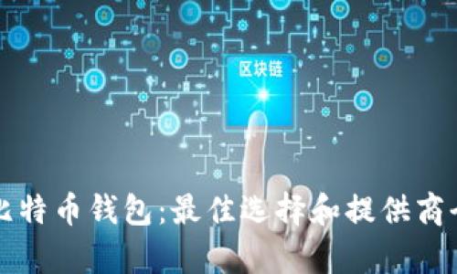 揭秘比特币钱包：最佳选择和提供商全解析